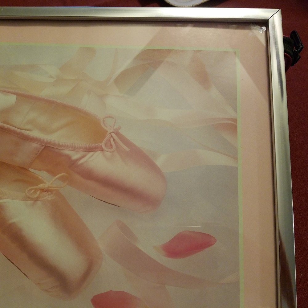 Metal framed ballet shoe photo